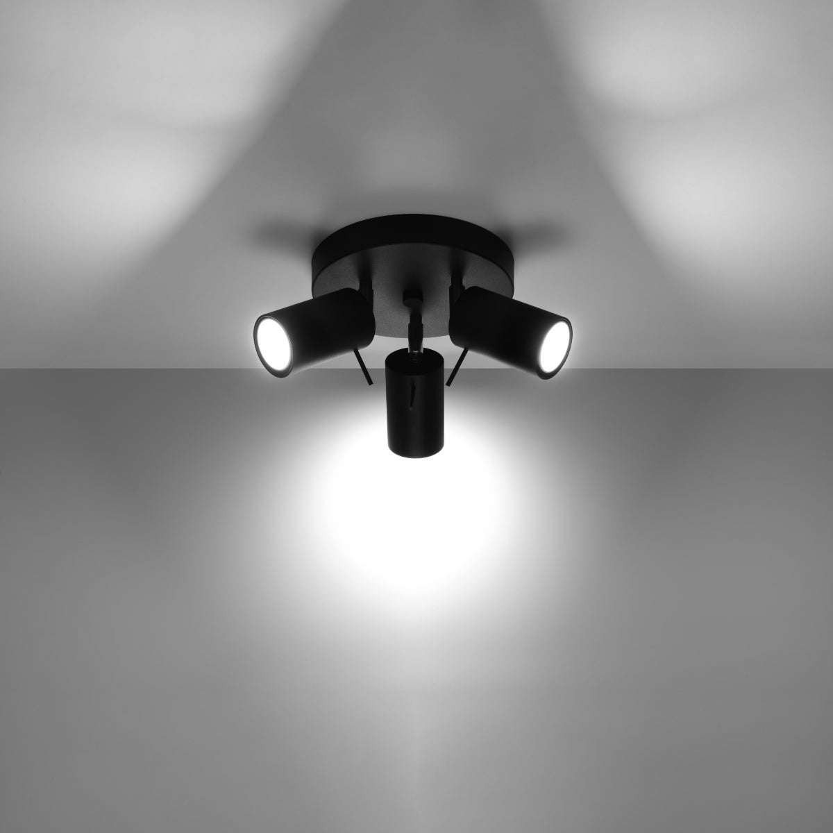 plafondlamp-ring-3p-zwart