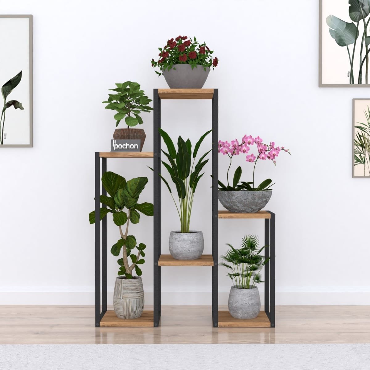 Plantentafel Kim - Afbeelding 4