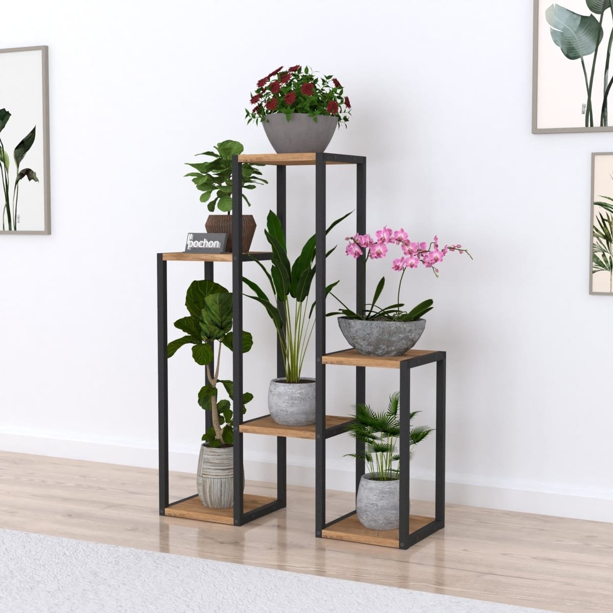 Plantentafel Kim - Afbeelding 5