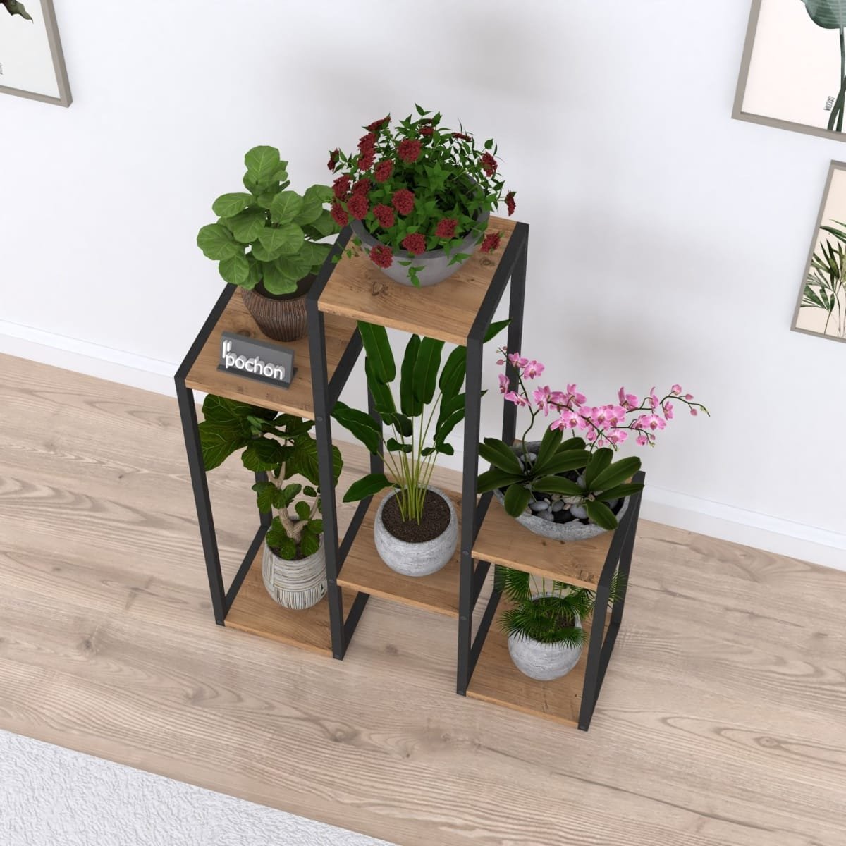 Plantentafel Kim - Afbeelding 6