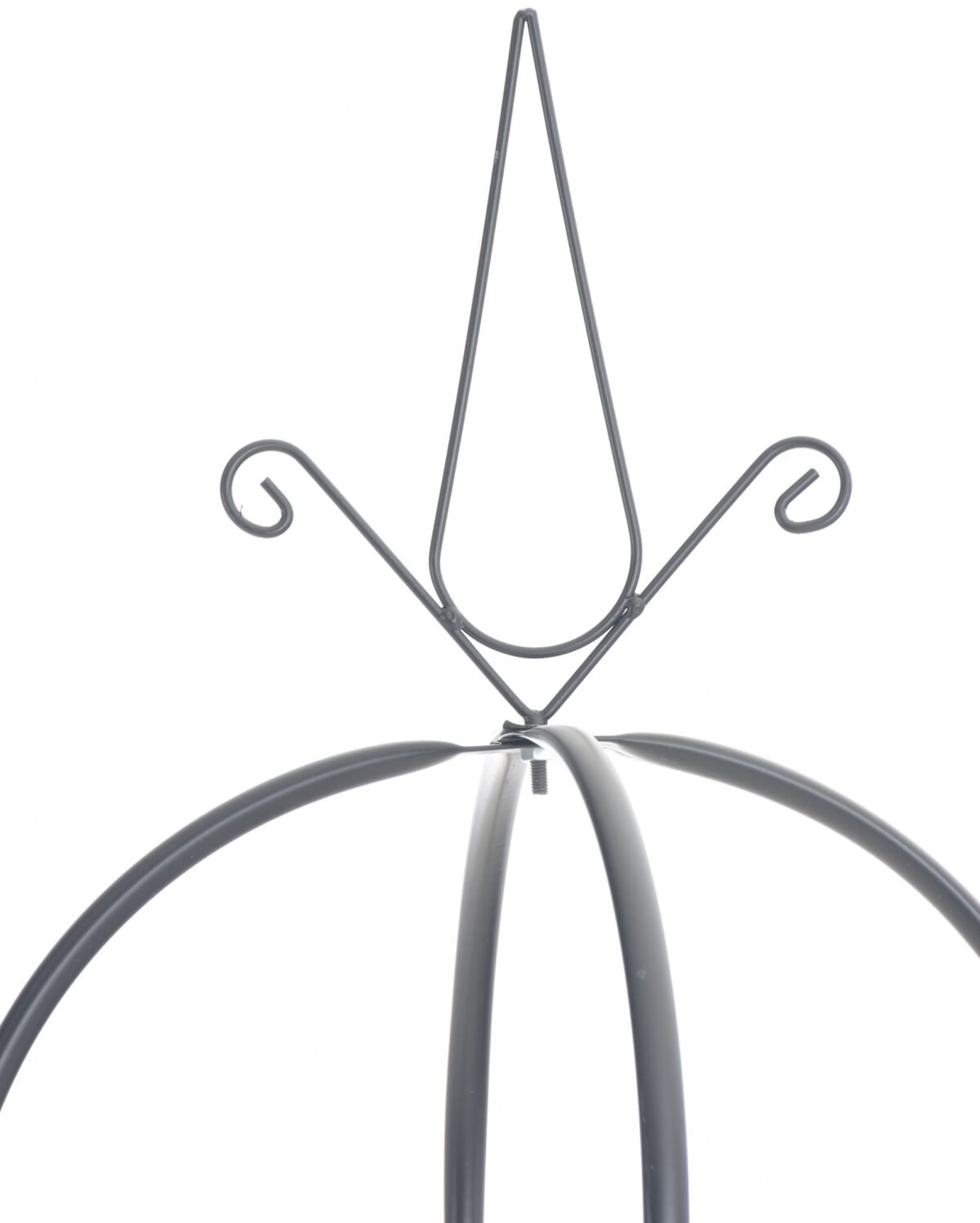 Rozenkolom Romantica V2 - Afbeelding 2