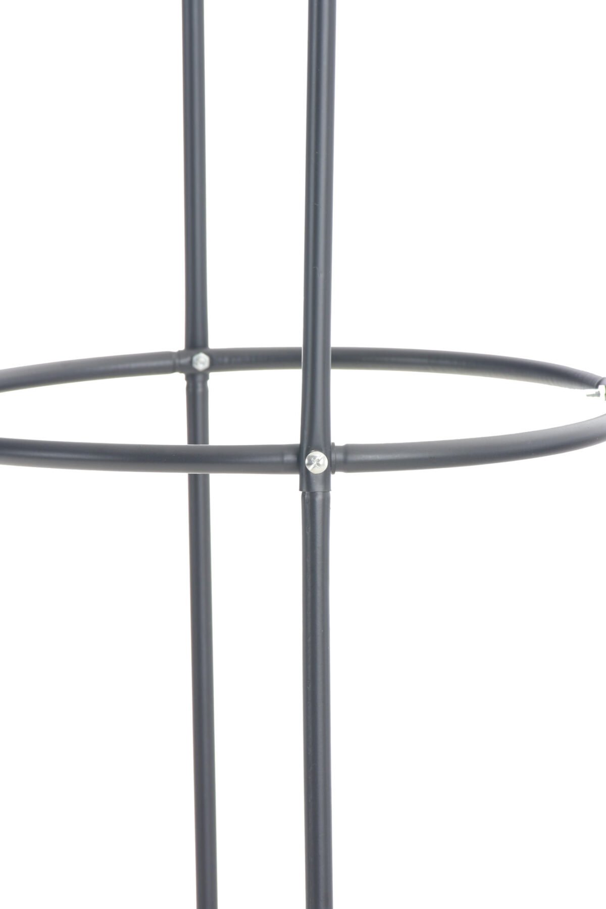 Rozenkolom Romantica V2 - Afbeelding 3