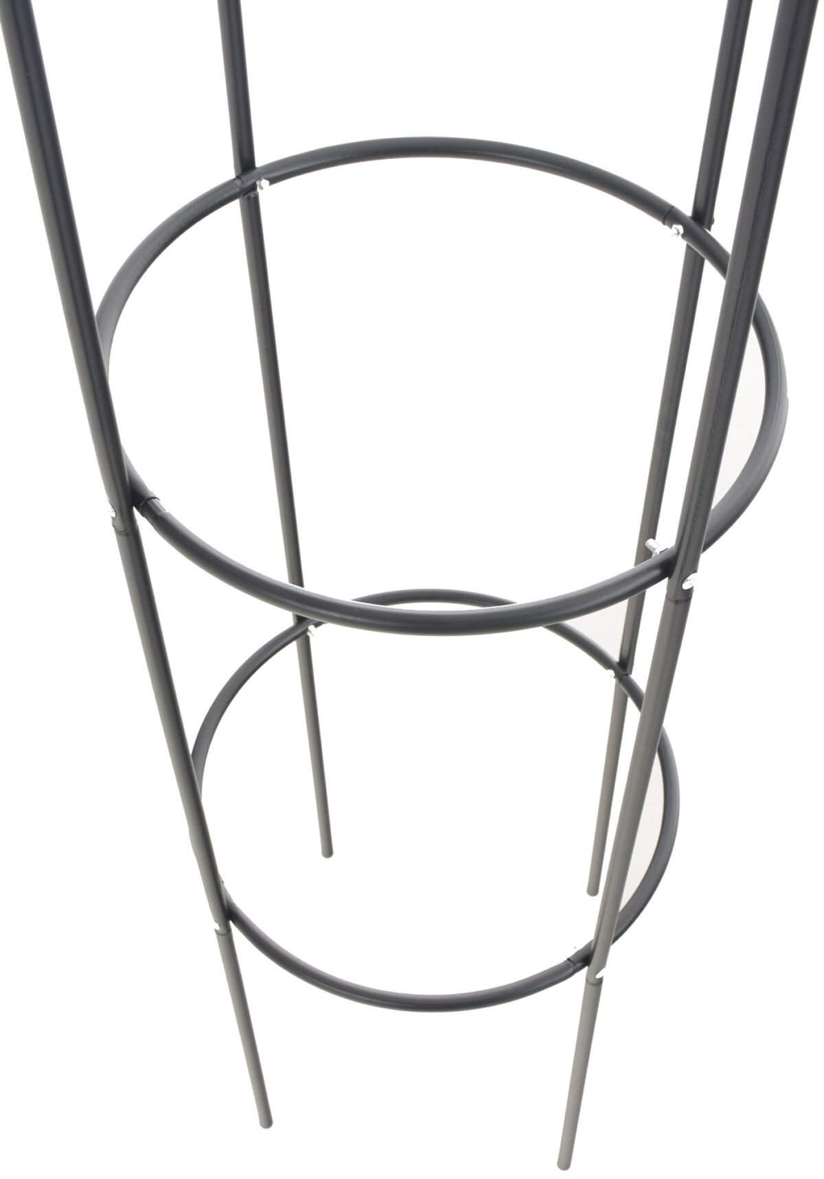 Rozenkolom Romantica V2 - Afbeelding 5