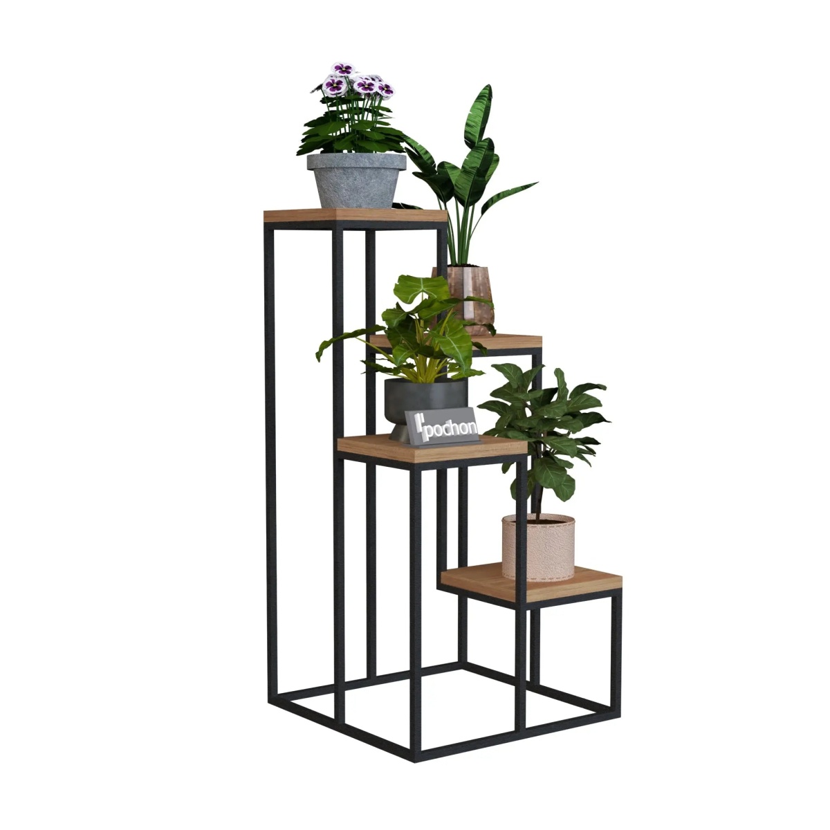 Plantentafel-4-Planten-Pochon-1687868517211